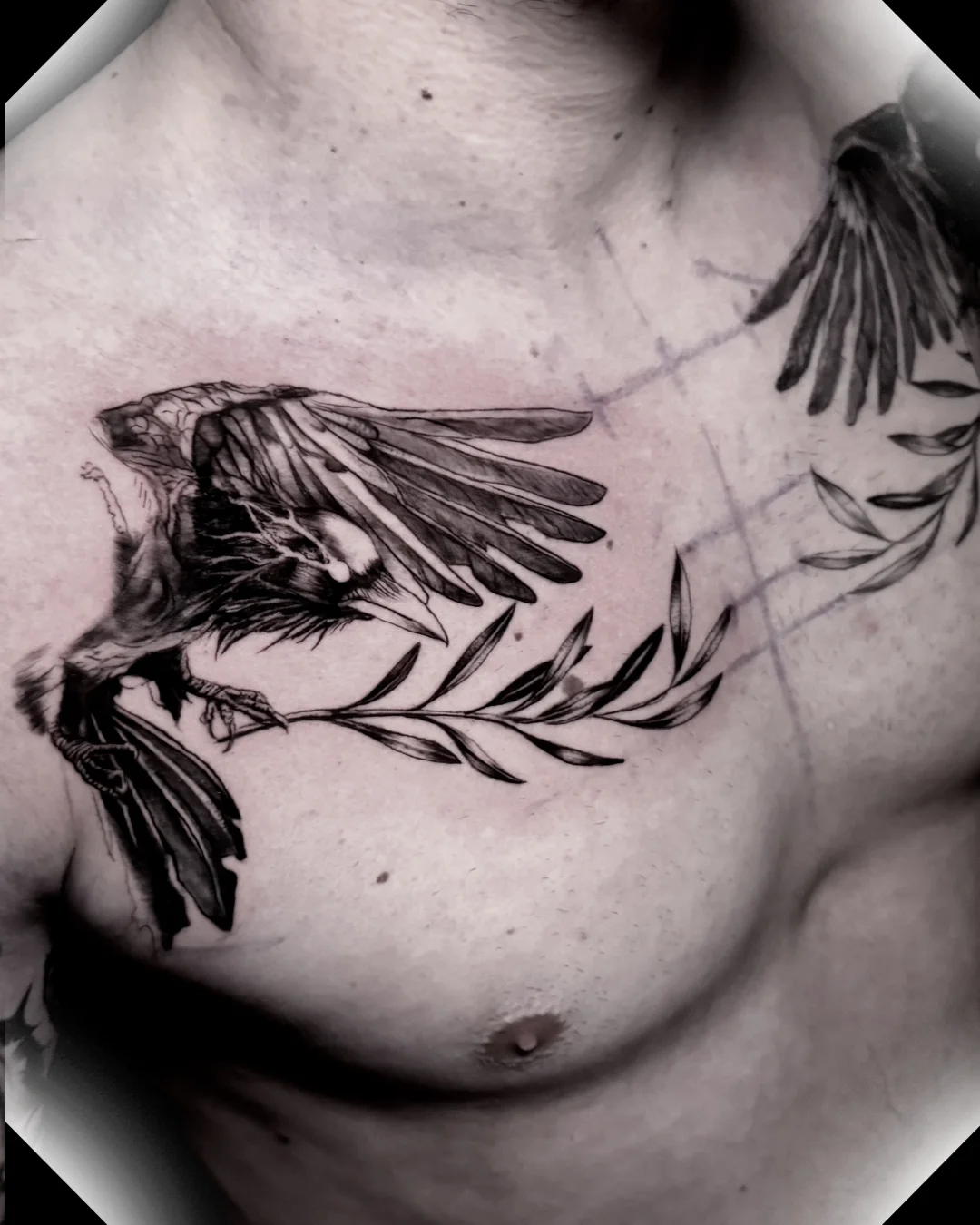 varjak — Fineline Tattoo Bern — Berkunst Tattoo Utzenstorf