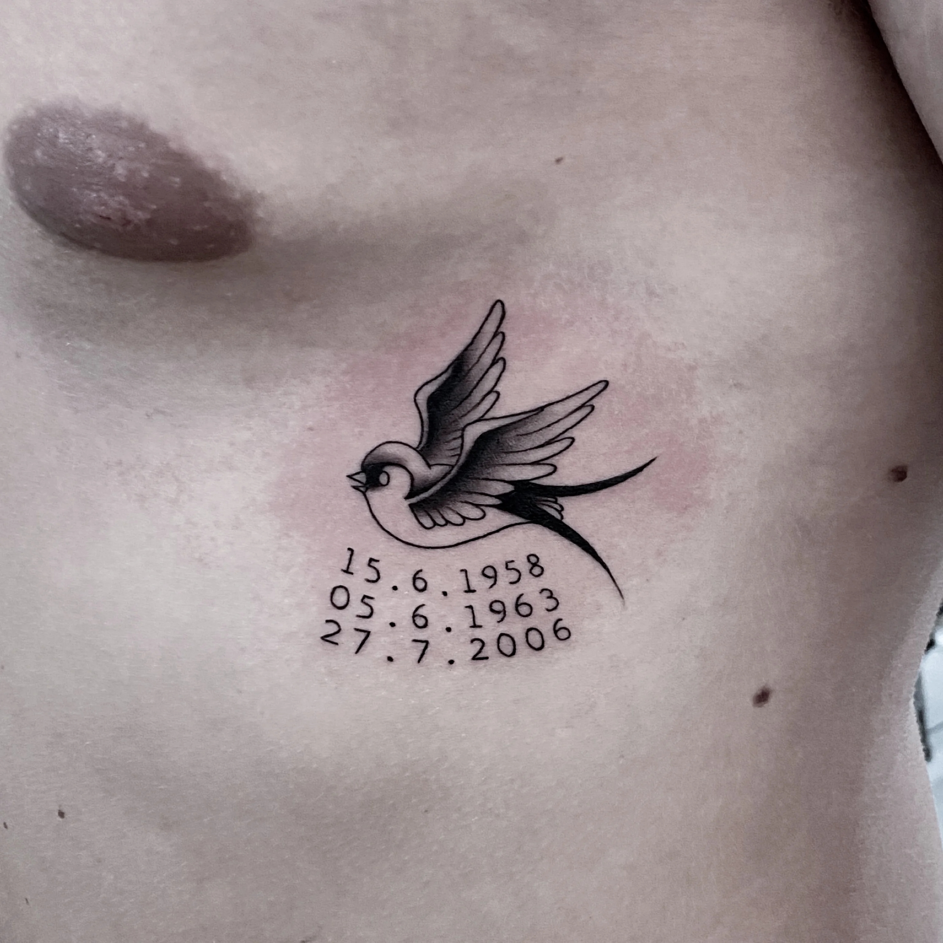 fecske — Fineline Tattoo Bern — Berkunst Tattoo Utzenstorf